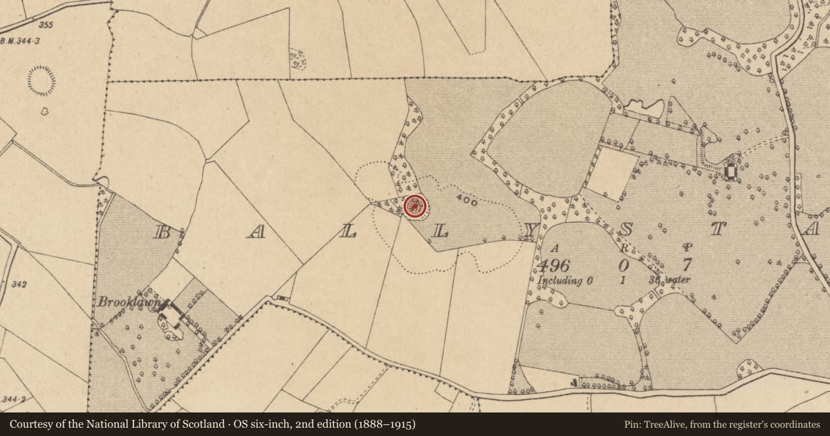 Ordnance Survey six-inch map, 2nd edition (1888–1915) covering the location of Ringfort - rath, Ballystanly, County Offaly, with a pin at the register's coordinates