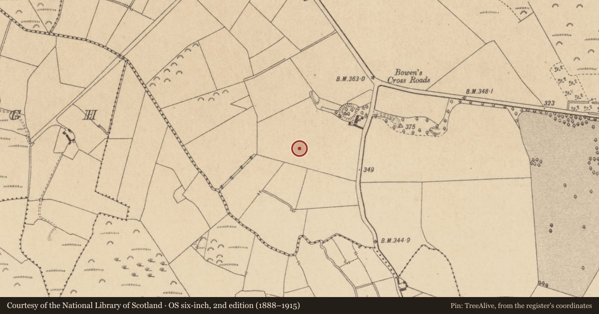 Ordnance Survey six-inch map, 2nd edition (1888–1915) covering the location of Ringfort - rath, Ballyrihy, County Offaly, with a pin at the register's coordinates