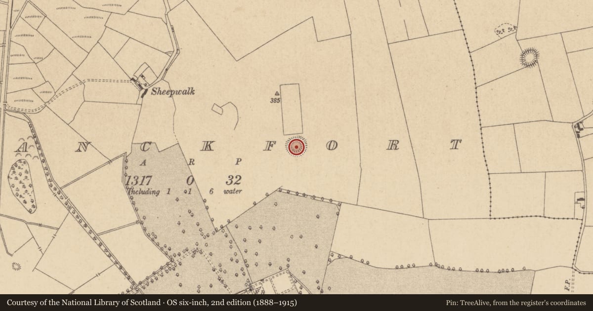 Ordnance Survey six-inch map, 2nd edition (1888–1915) covering the location of Ringfort - rath, Franckfort, County Offaly, with a pin at the register's coordinates