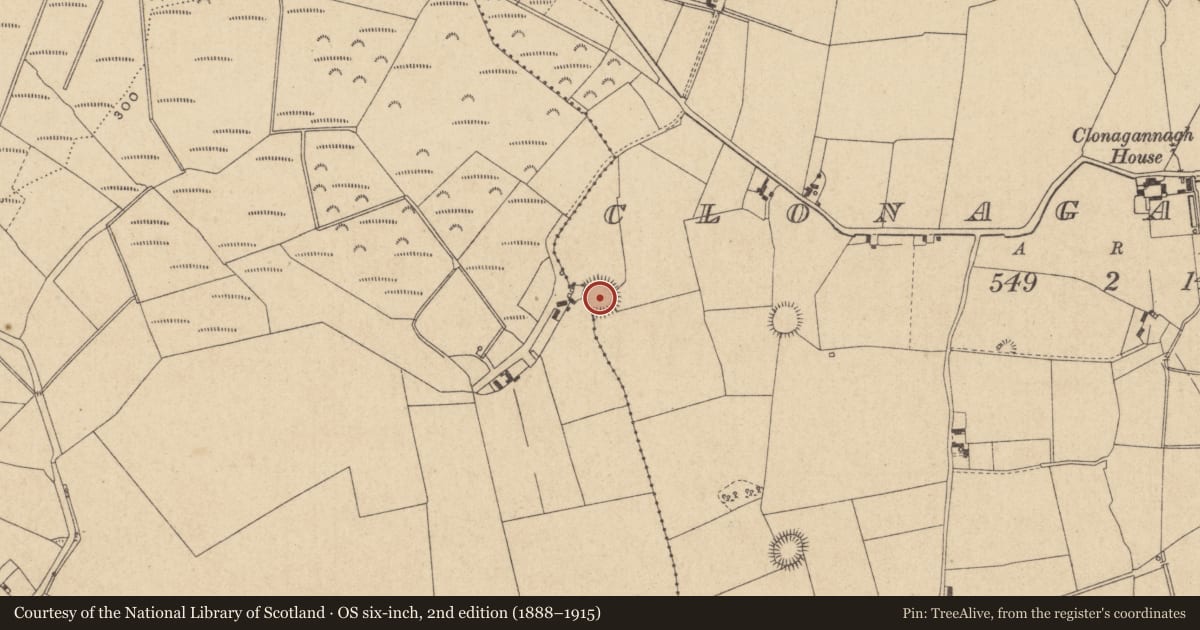 Ordnance Survey six-inch map, 2nd edition (1888–1915) covering the location of Ringfort - rath, Clonagannagh, County Offaly, with a pin at the register's coordinates