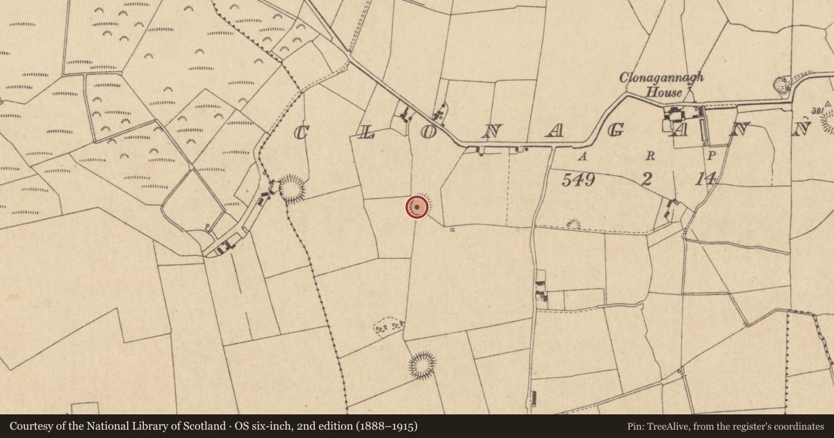 Ordnance Survey six-inch map, 2nd edition (1888–1915) covering the location of Ringfort - unclassified, Clonagannagh, County Offaly, with a pin at the register's coordinates