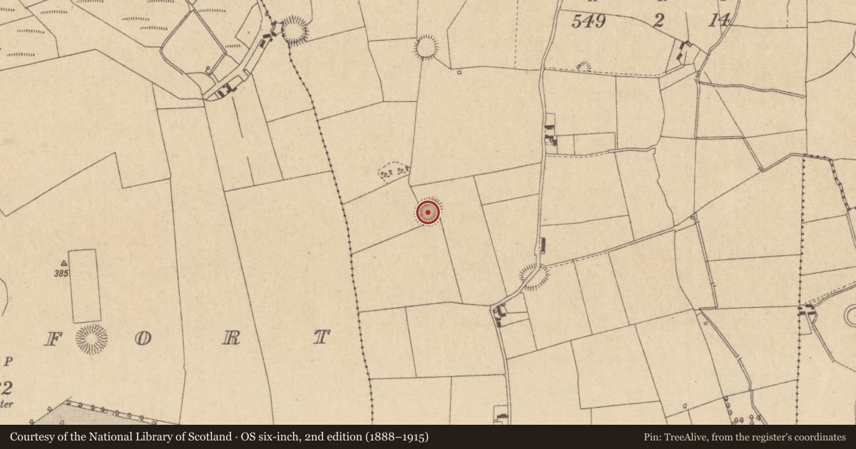 Ordnance Survey six-inch map, 2nd edition (1888–1915) covering the location of Ringfort - rath, Clonagannagh, County Offaly, with a pin at the register's coordinates