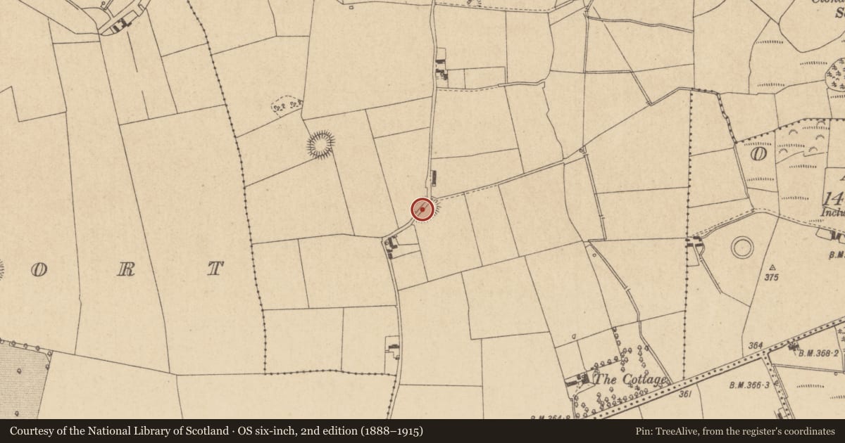 Ordnance Survey six-inch map, 2nd edition (1888–1915) covering the location of Ringfort - rath, Clonagannagh, County Offaly, with a pin at the register's coordinates