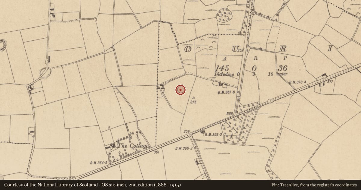 Ordnance Survey six-inch map, 2nd edition (1888–1915) covering the location of Ringfort - rath, Ouris, County Offaly, with a pin at the register's coordinates