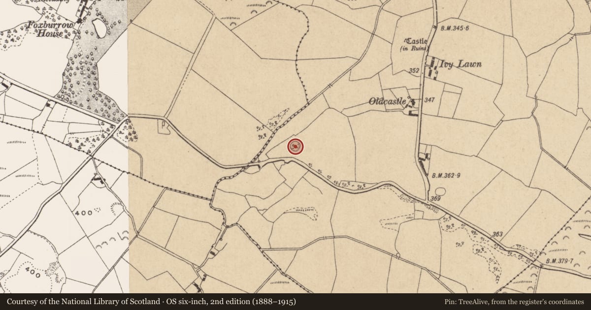 Ordnance Survey six-inch map, 2nd edition (1888–1915) covering the location of Ringfort - rath, Clonymohan, County Offaly, with a pin at the register's coordinates