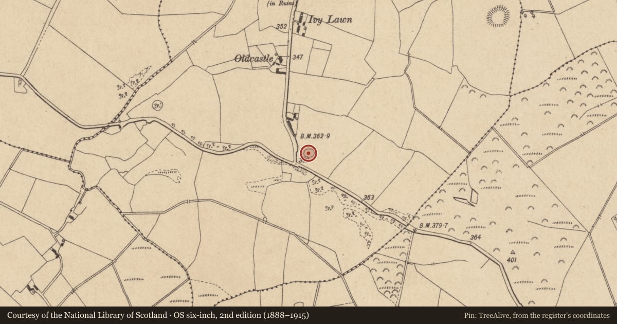 Ordnance Survey six-inch map, 2nd edition (1888–1915) covering the location of Ringfort - rath, Clonymohan, County Offaly, with a pin at the register's coordinates