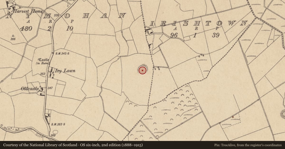 Ordnance Survey six-inch map, 2nd edition (1888–1915) covering the location of Ringfort - rath, Clonymohan, County Offaly, with a pin at the register's coordinates