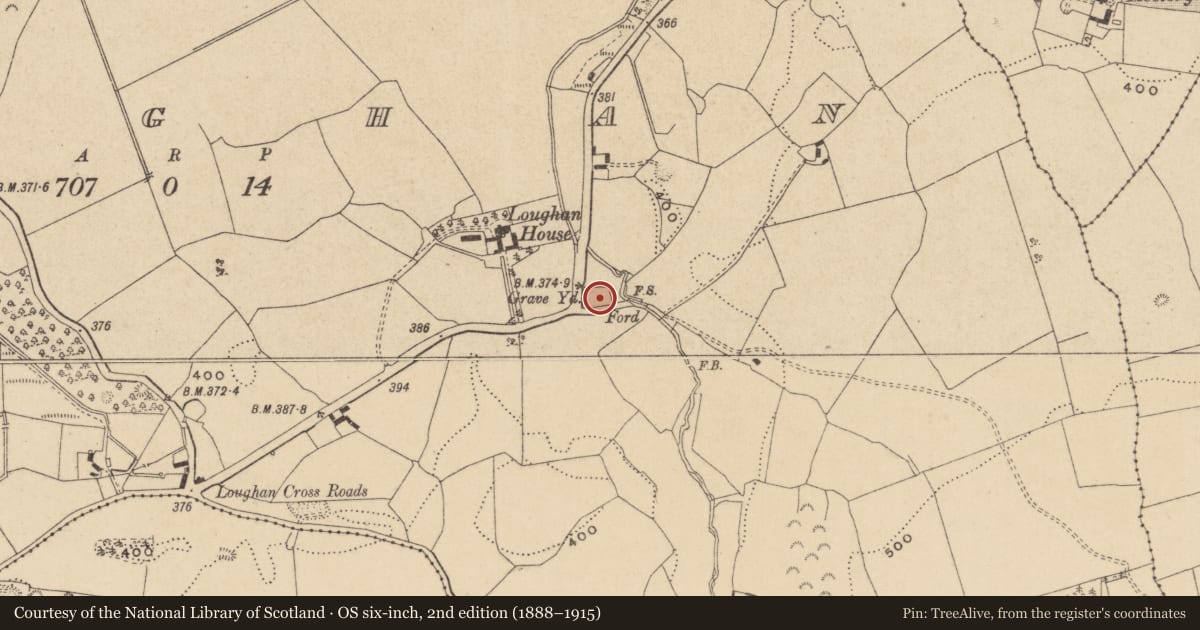 Ordnance Survey six-inch map, 2nd edition (1888–1915) covering the location of Bullaun stone, Loughan, County Offaly, with a pin at the register's coordinates