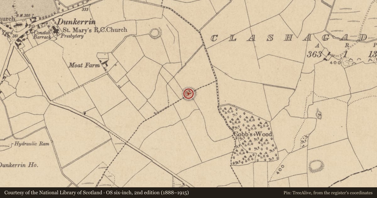 Ordnance Survey six-inch map, 2nd edition (1888–1915) covering the location of Ringfort - rath, Castleroan, Franckfort, County Offaly, with a pin at the register's coordinates