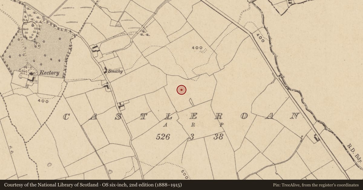 Ordnance Survey six-inch map, 2nd edition (1888–1915) covering the location of Ringfort - unclassified, Castleroan, County Offaly, with a pin at the register's coordinates