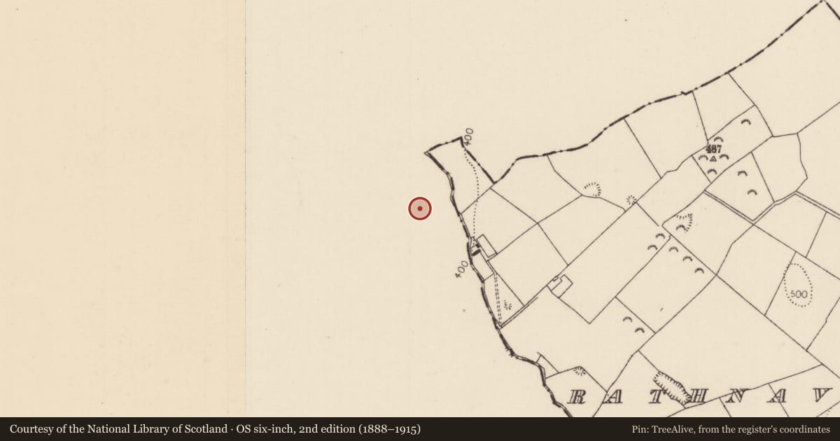 Ordnance Survey six-inch map, 2nd edition (1888–1915) covering the location of Enclosure, Castleroan, County Offaly, with a pin at the register's coordinates