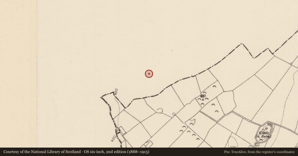 Ordnance Survey six-inch map, 2nd edition (1888–1915) covering the location of Ringfort - rath, Clashagad Upper, County Offaly, with a pin at the register's coordinates