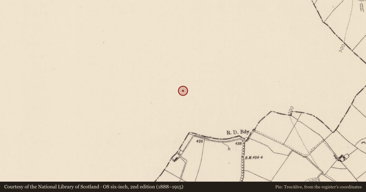 Ordnance Survey six-inch map, 2nd edition (1888–1915) covering the location of Castle - tower house, Clashagad Lower, County Offaly, with a pin at the register's coordinates