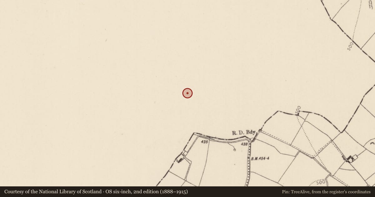 Ordnance Survey six-inch map, 2nd edition (1888–1915) covering the location of Bawn, Clashagad Lower, County Offaly, with a pin at the register's coordinates
