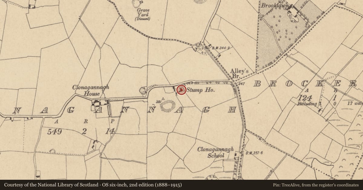 Ordnance Survey six-inch map, 2nd edition (1888–1915) covering the location of Castle - unclassified, Clonagannagh, County Offaly, with a pin at the register's coordinates