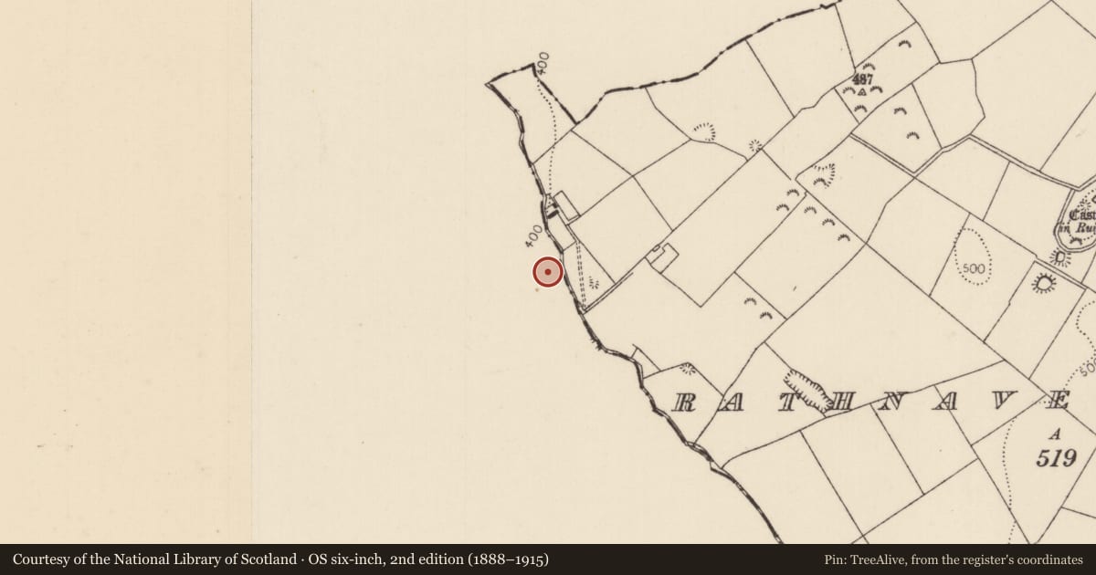Ordnance Survey six-inch map, 2nd edition (1888–1915) covering the location of Metalworking site, Castleroan, County Offaly, with a pin at the register's coordinates
