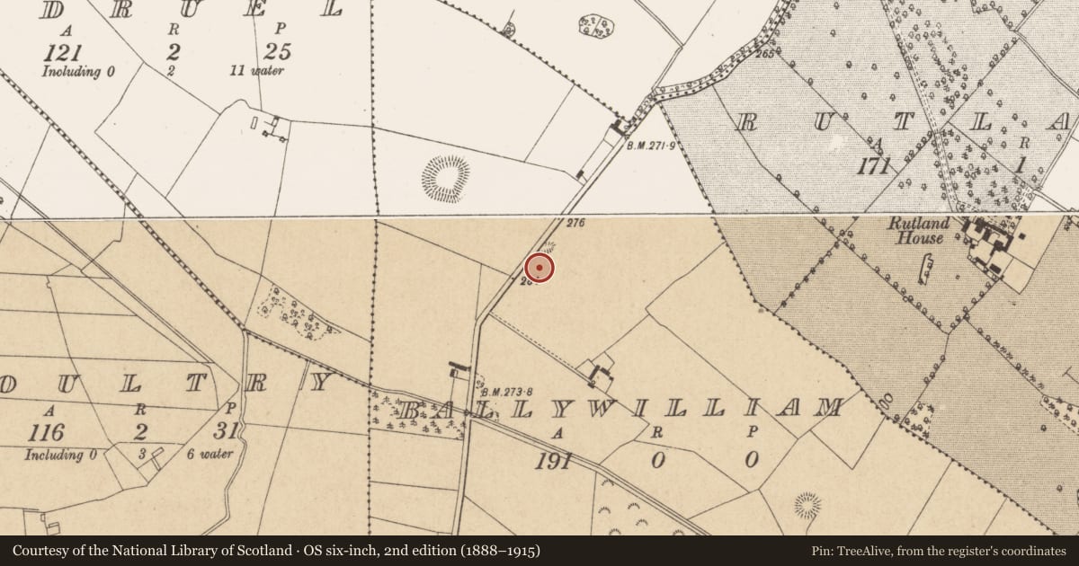 Ordnance Survey six-inch map, 2nd edition (1888–1915) covering the location of Stone head (present location), Ballywilliam, County Offaly, with a pin at the register's coordinates