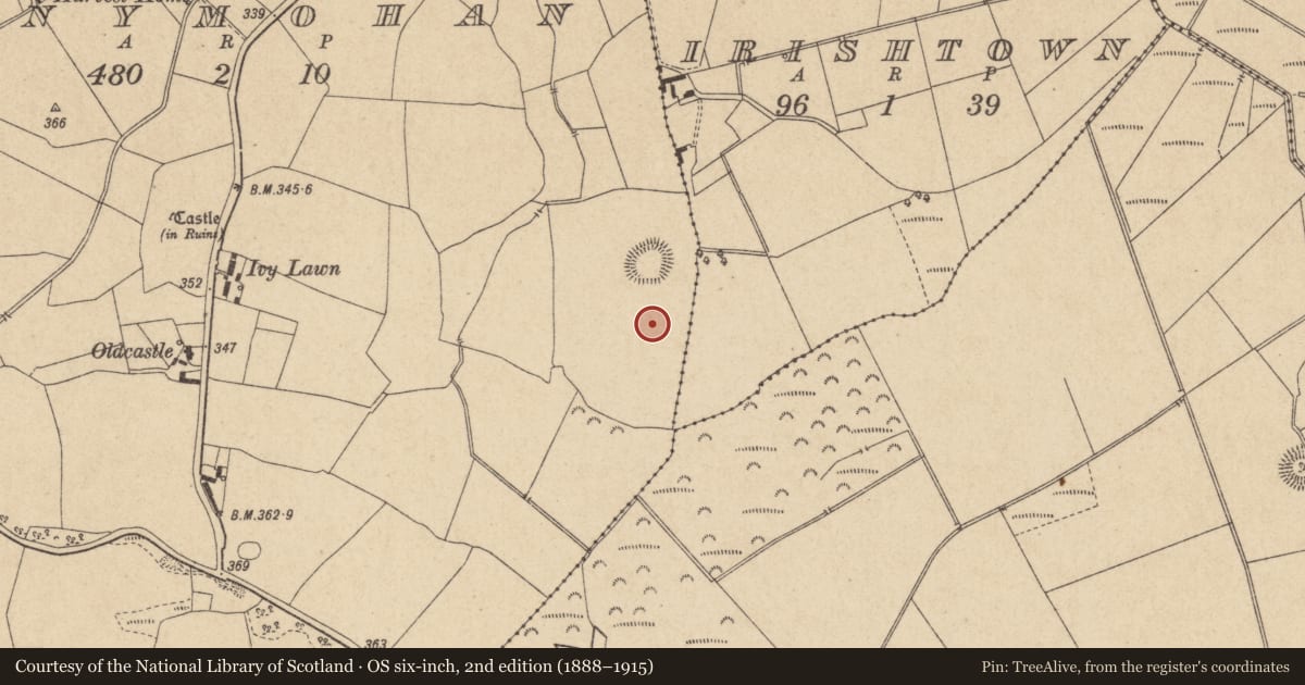 Ordnance Survey six-inch map, 2nd edition (1888–1915) covering the location of Ringfort - unclassified, Clonymohan, County Offaly, with a pin at the register's coordinates