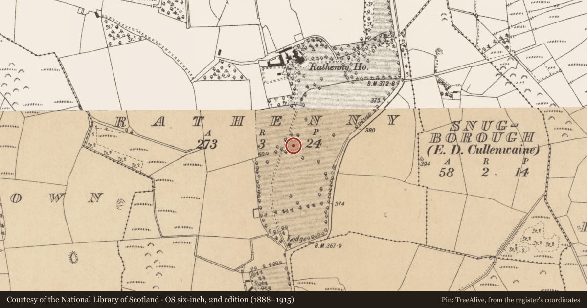 Ordnance Survey six-inch map, 2nd edition (1888–1915) covering the location of Enclosure, Rathenny, County Offaly, with a pin at the register's coordinates
