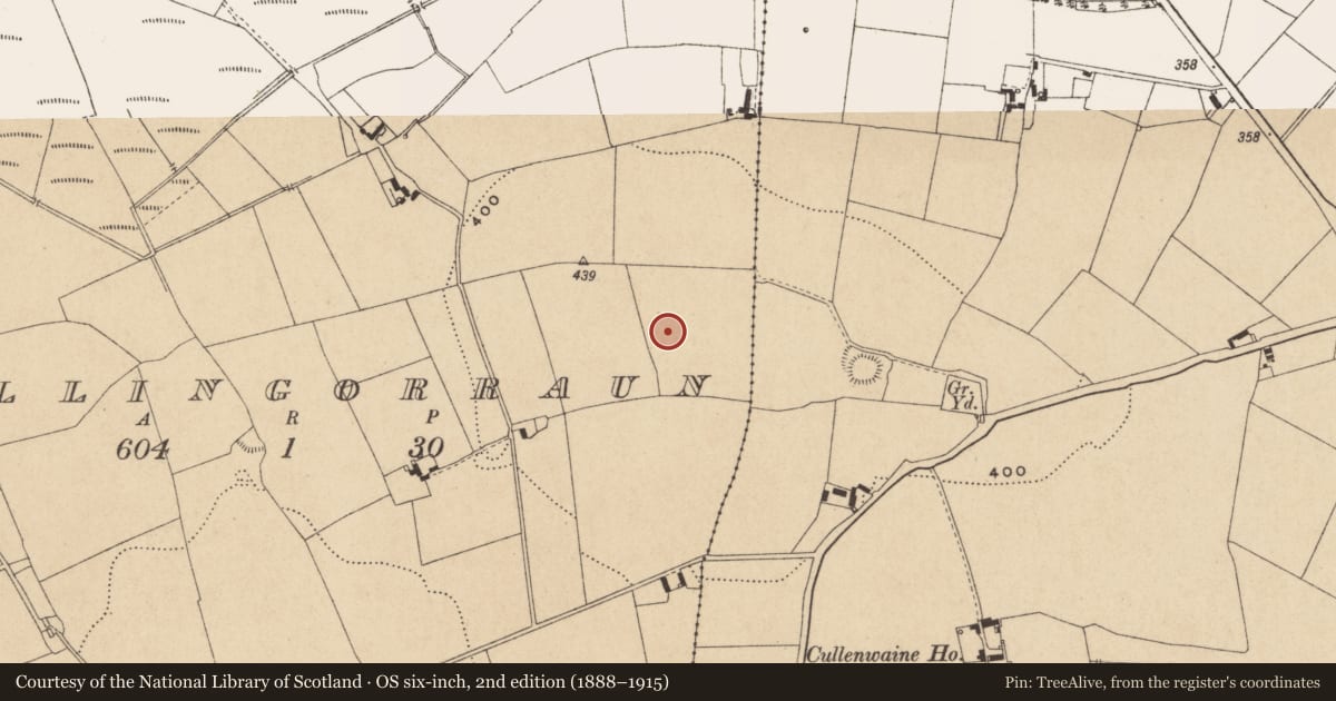 Ordnance Survey six-inch map, 2nd edition (1888–1915) covering the location of Enclosure, Ballingorraun, County Offaly, with a pin at the register's coordinates