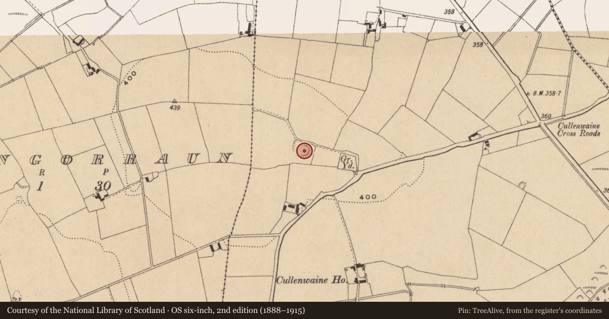 Ordnance Survey six-inch map, 2nd edition (1888–1915) covering the location of Ringfort - rath, Cullenwaine, County Offaly, with a pin at the register's coordinates