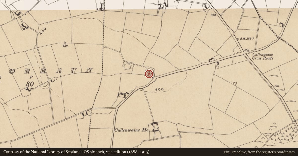 Ordnance Survey six-inch map, 2nd edition (1888–1915) covering the location of Graveyard, Cullenwaine, County Offaly, with a pin at the register's coordinates