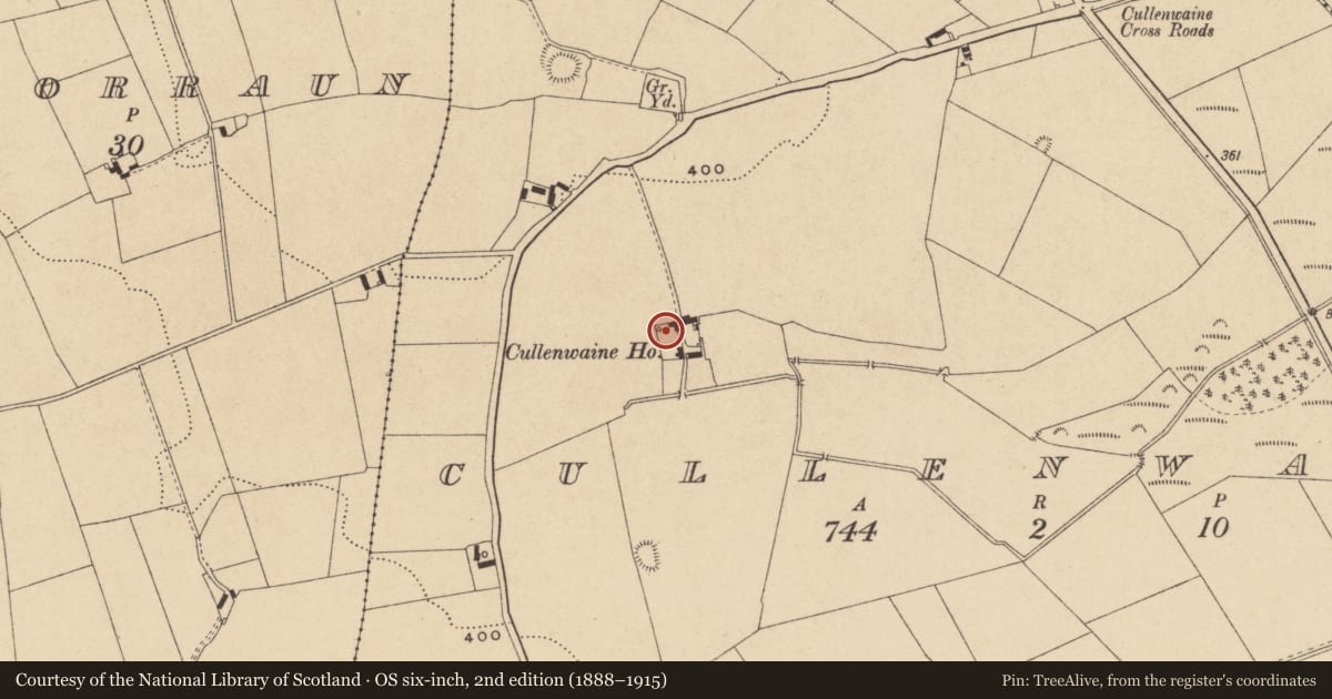 Ordnance Survey six-inch map, 2nd edition (1888–1915) covering the location of Castle - tower house, Cullenwaine, County Offaly, with a pin at the register's coordinates