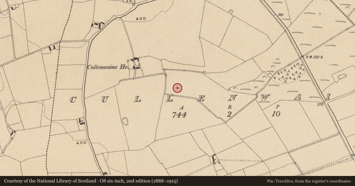 Ordnance Survey six-inch map, 2nd edition (1888–1915) covering the location of Enclosure, Cullenwaine, County Offaly, with a pin at the register's coordinates