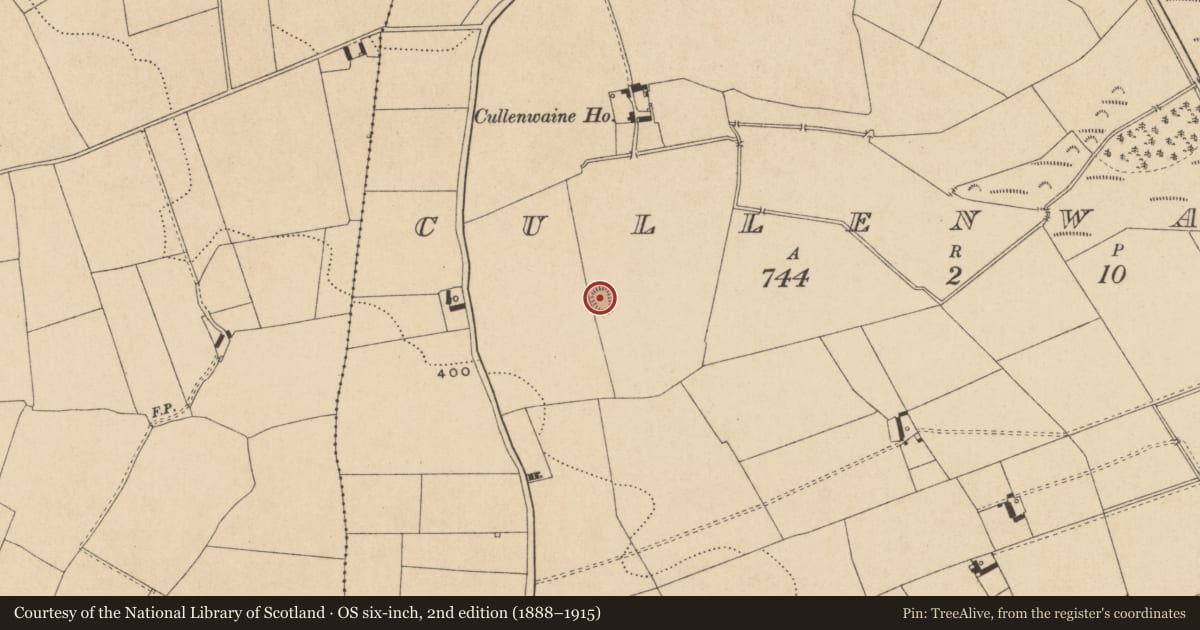 Ordnance Survey six-inch map, 2nd edition (1888–1915) covering the location of Ringfort - rath, Cullenwaine, County Offaly, with a pin at the register's coordinates