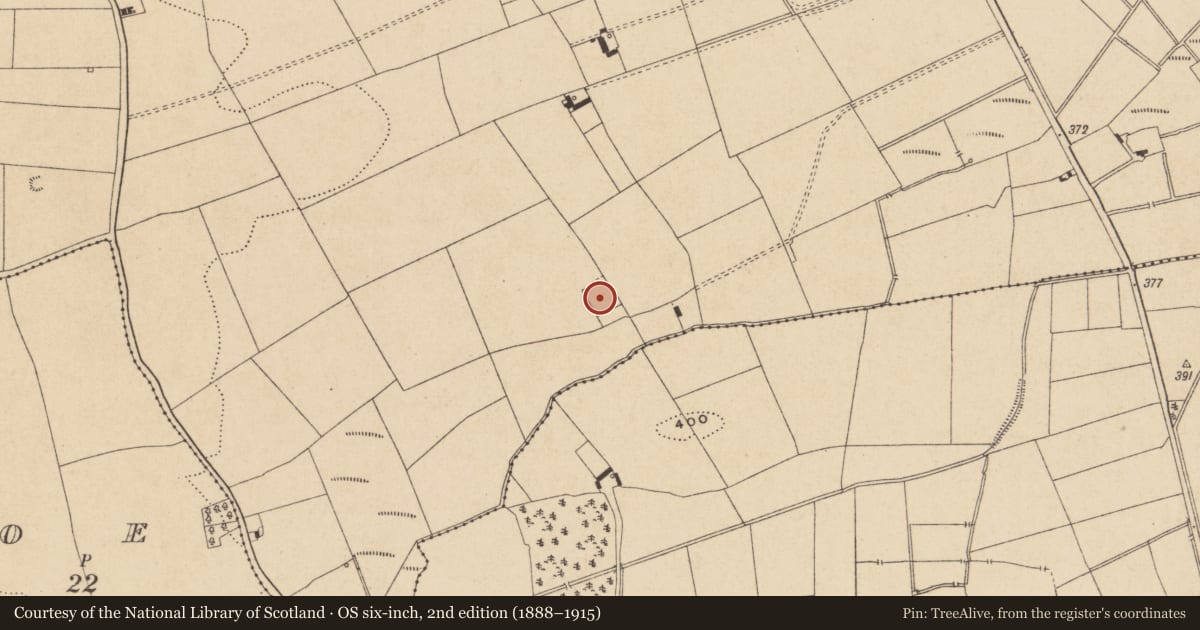 Ordnance Survey six-inch map, 2nd edition (1888–1915) covering the location of Enclosure, Cullenwaine, County Offaly, with a pin at the register's coordinates