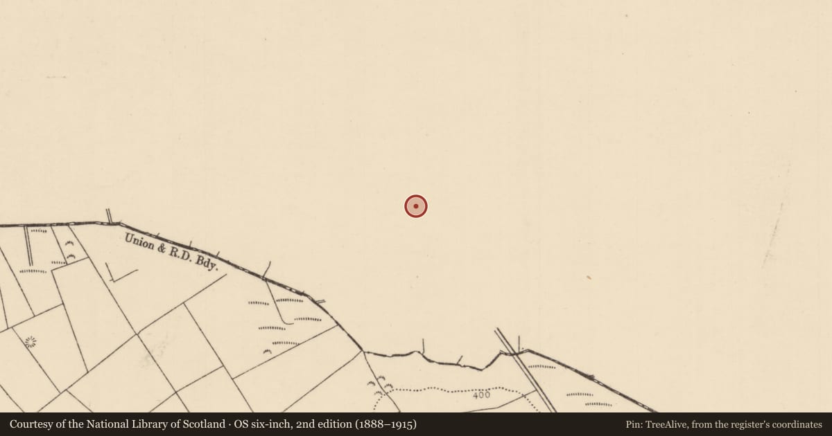 Ordnance Survey six-inch map, 2nd edition (1888–1915) covering the location of Ringfort - rath, Clynoe, County Offaly, with a pin at the register's coordinates