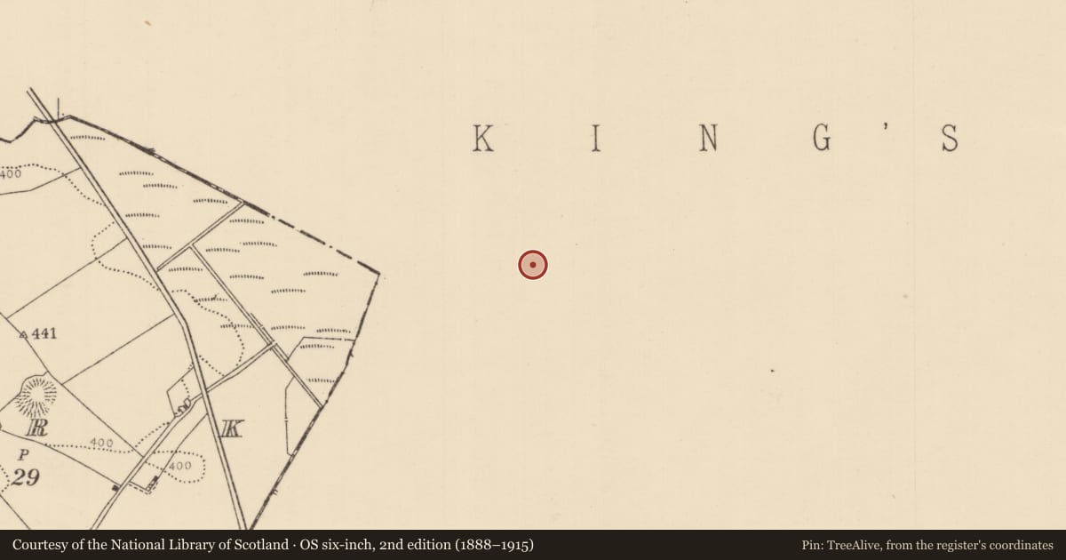 Ordnance Survey six-inch map, 2nd edition (1888–1915) covering the location of Enclosure, Clynoe, County Offaly, with a pin at the register's coordinates