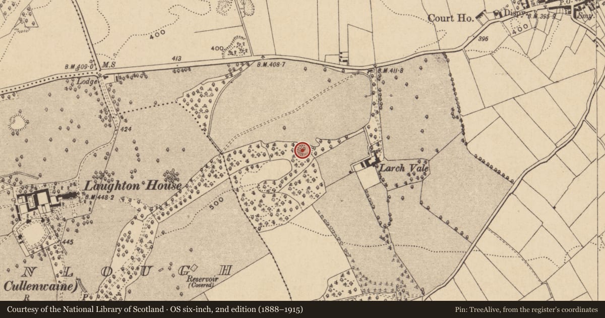 Ordnance Survey six-inch map, 2nd edition (1888–1915) covering the location of Ringfort - rath, Moneygall, County Offaly, with a pin at the register's coordinates