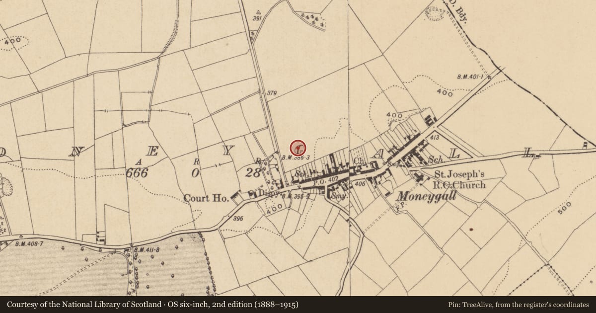 Ordnance Survey six-inch map, 2nd edition (1888–1915) covering the location of Fulacht fia, Moneygall, County Offaly, with a pin at the register's coordinates