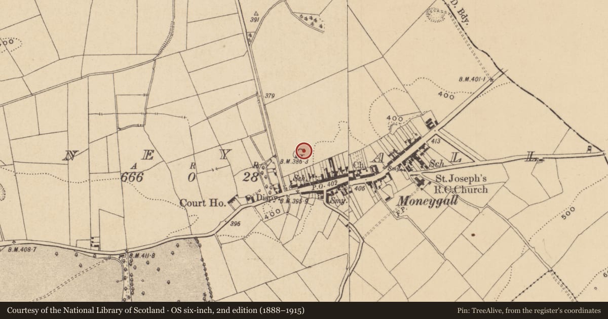 Ordnance Survey six-inch map, 2nd edition (1888–1915) covering the location of Charcoal-making site, Moneygall, County Offaly, with a pin at the register's coordinates