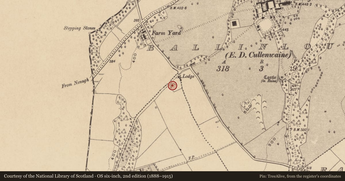 Ordnance Survey six-inch map, 2nd edition (1888–1915) covering the location of Ringfort - rath, Ballycormick, County Offaly, with a pin at the register's coordinates