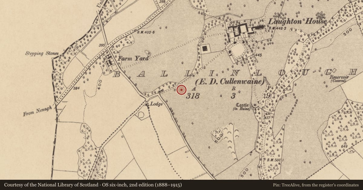 Ordnance Survey six-inch map, 2nd edition (1888–1915) covering the location of Enclosure, Ballinlough, County Offaly, with a pin at the register's coordinates