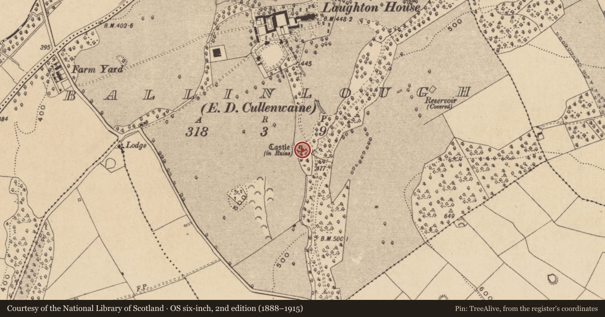 Ordnance Survey six-inch map, 2nd edition (1888–1915) covering the location of Castle - tower house, Ballinlough, County Offaly, with a pin at the register's coordinates