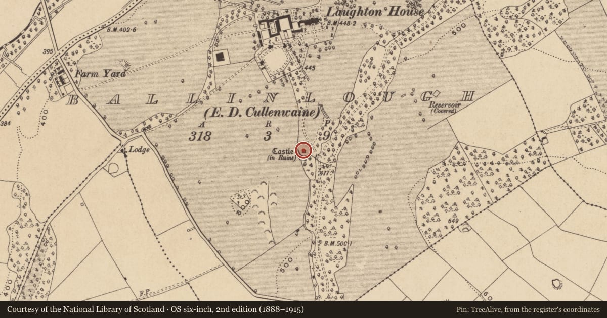 Ordnance Survey six-inch map, 2nd edition (1888–1915) covering the location of Bawn, Ballinlough, County Offaly, with a pin at the register's coordinates