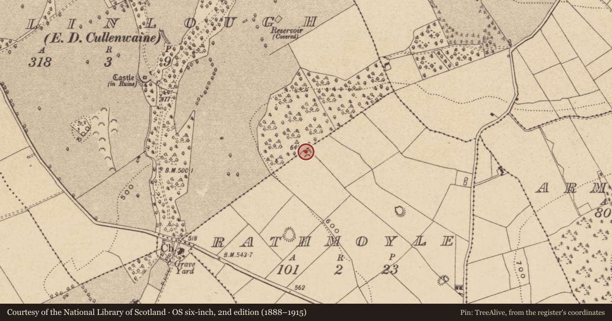 Ordnance Survey six-inch map, 2nd edition (1888–1915) covering the location of Ringfort - rath, Rathmoyle, County Offaly, with a pin at the register's coordinates