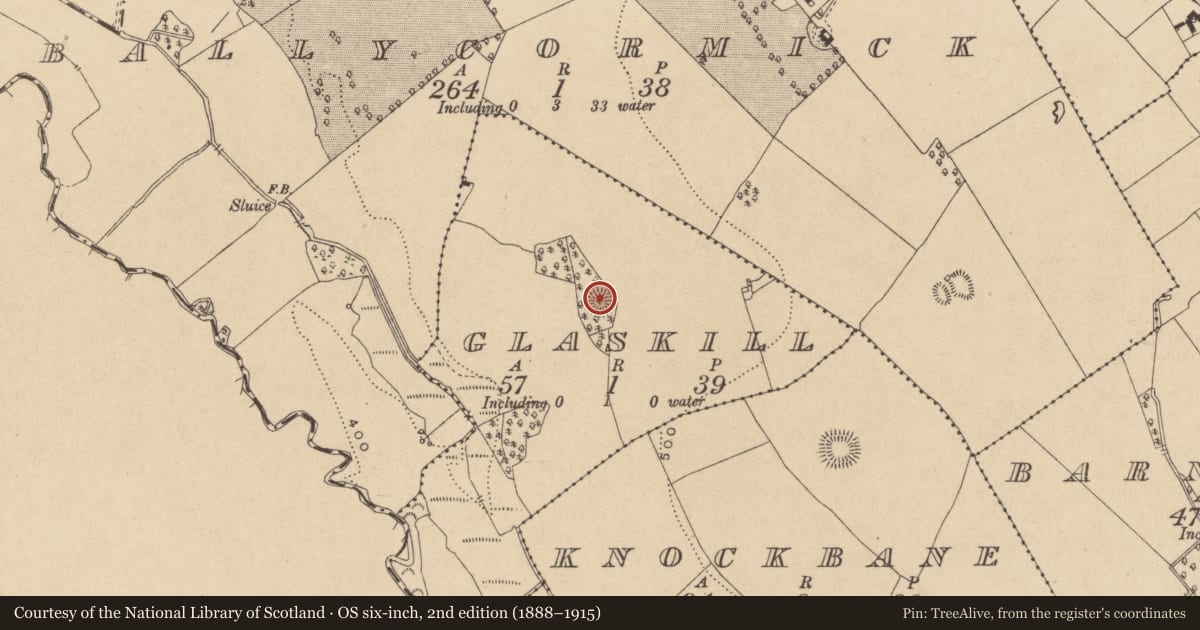 Ordnance Survey six-inch map, 2nd edition (1888–1915) covering the location of Ringfort - rath, Glaskill, County Offaly, with a pin at the register's coordinates
