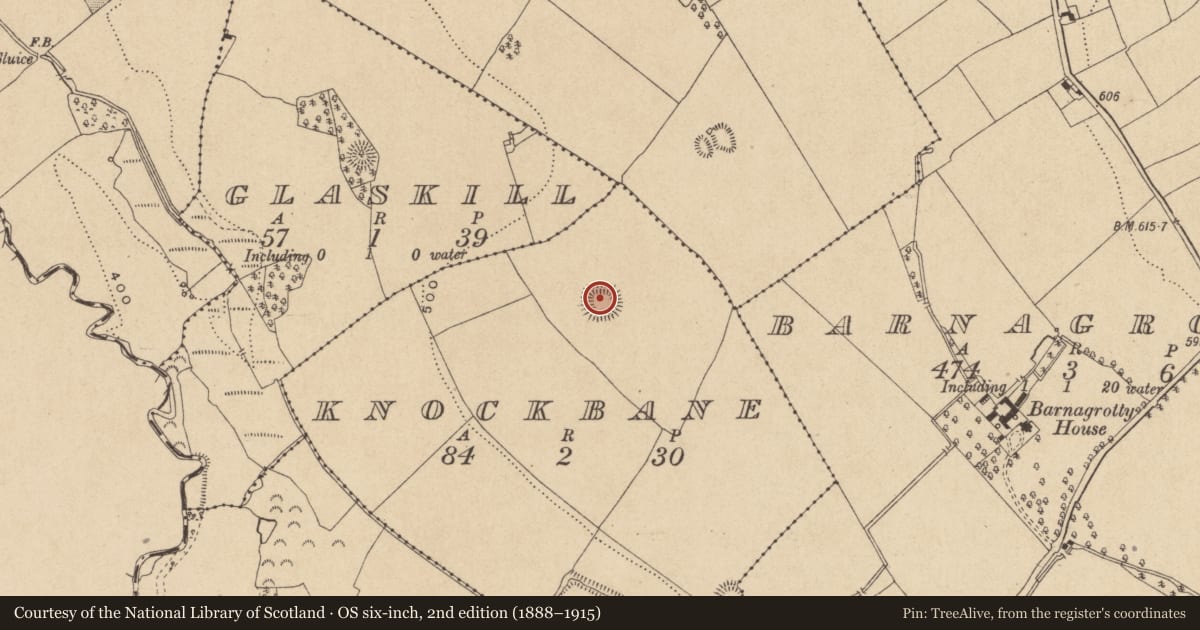 Ordnance Survey six-inch map, 2nd edition (1888–1915) covering the location of Moated site, Knockbane, County Offaly, with a pin at the register's coordinates