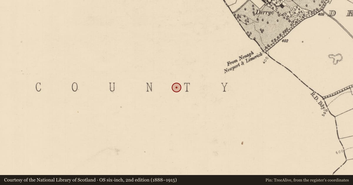 Ordnance Survey six-inch map, 2nd edition (1888–1915) covering the location of Metalworking site, Moneygall, County Offaly, with a pin at the register's coordinates