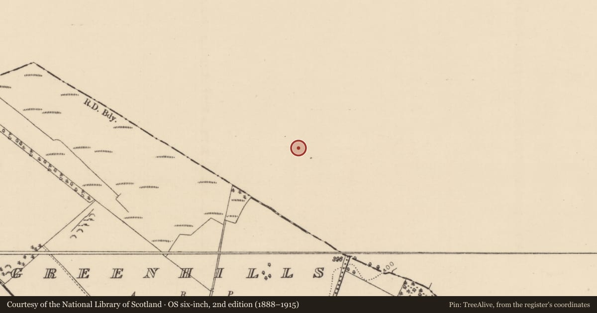 Ordnance Survey six-inch map, 2nd edition (1888–1915) covering the location of Ringfort - rath, Busherstown, County Offaly, with a pin at the register's coordinates