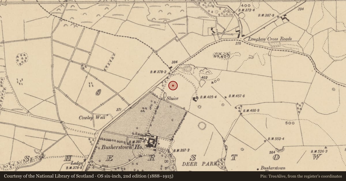 Ordnance Survey six-inch map, 2nd edition (1888–1915) covering the location of Enclosure, Busherstown, County Offaly, with a pin at the register's coordinates