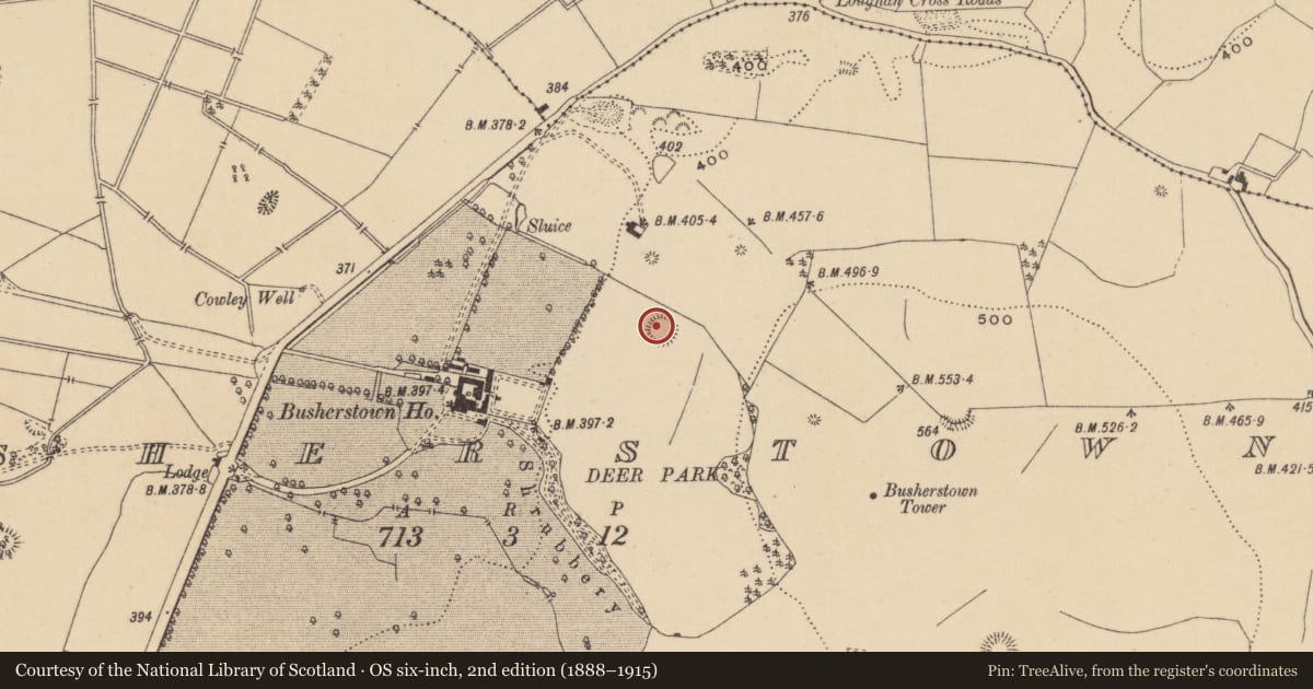Ordnance Survey six-inch map, 2nd edition (1888–1915) covering the location of Ringfort - rath, Busherstown, County Offaly, with a pin at the register's coordinates