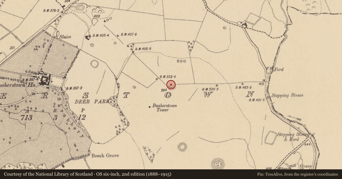 Ordnance Survey six-inch map, 2nd edition (1888–1915) covering the location of Ringfort - unclassified, Busherstown, County Offaly, with a pin at the register's coordinates