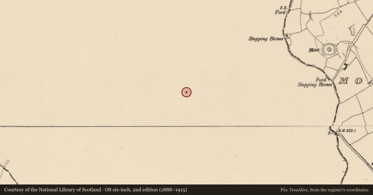 Ordnance Survey six-inch map, 2nd edition (1888–1915) covering the location of Ringfort - rath, Busherstown, County Offaly, with a pin at the register's coordinates
