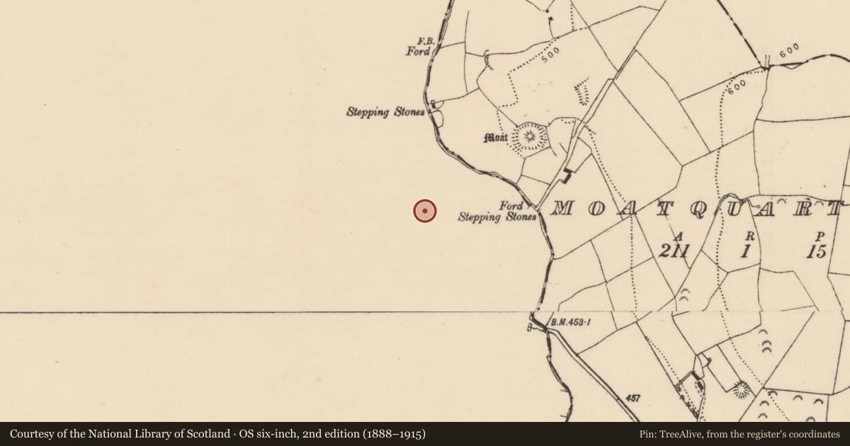 Ordnance Survey six-inch map, 2nd edition (1888–1915) covering the location of Earthwork, Busherstown, County Offaly, with a pin at the register's coordinates