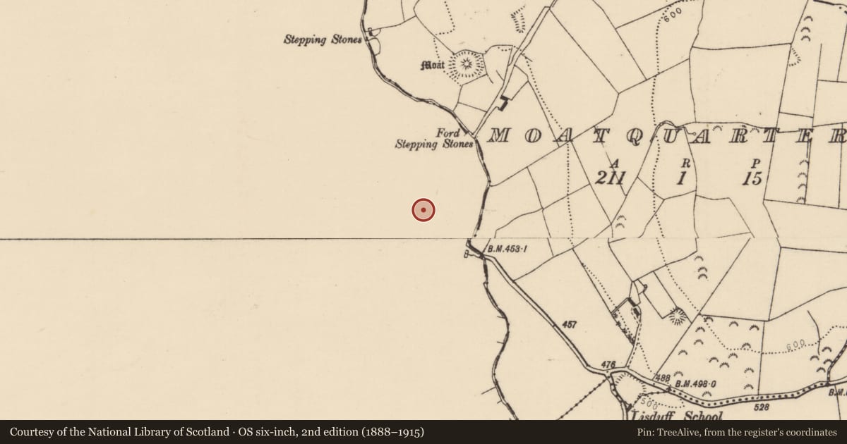 Ordnance Survey six-inch map, 2nd edition (1888–1915) covering the location of Church, Drumroe, County Offaly, with a pin at the register's coordinates